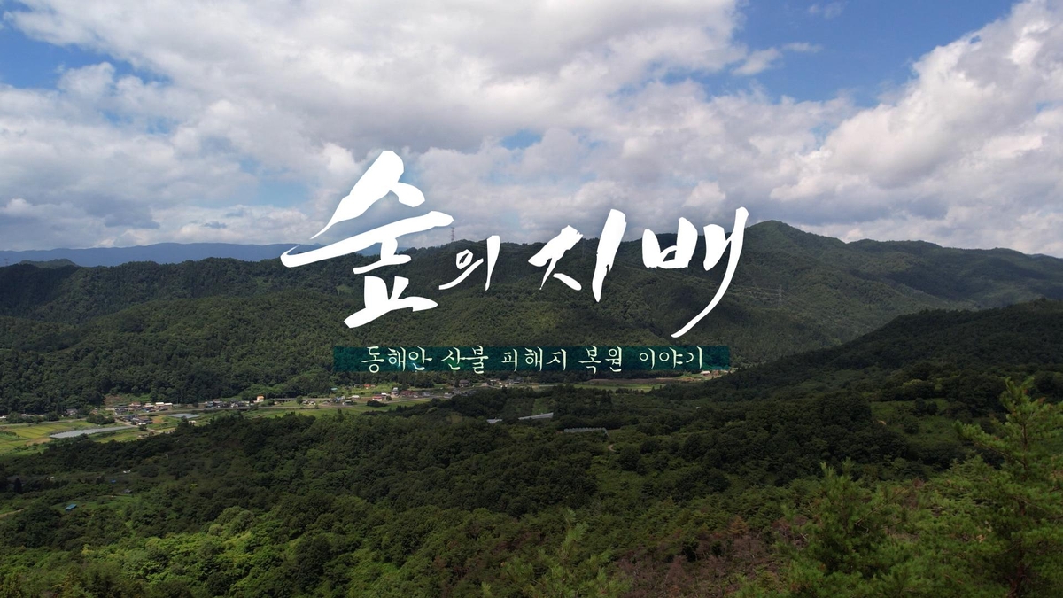MBC강원영동, 산불 피해지 복원 특집 다큐 '숲의 지배' 방영