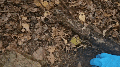 유통책이 은닉한 필로폰