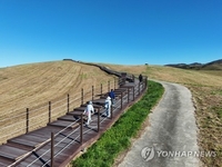 [걷고 싶은 길] 겨울을 기다리는 드넓은 초지 '서산 한우목장길'