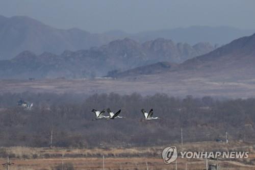 El Gobierno de Gyeonggi impulsará la inclusión de la DMZ como Patrimonio Mundial de la Unesco