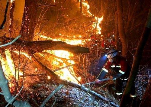 El incendio en el monte Jiri es extinguido tras 21 horas dejando a un bombero fallecido