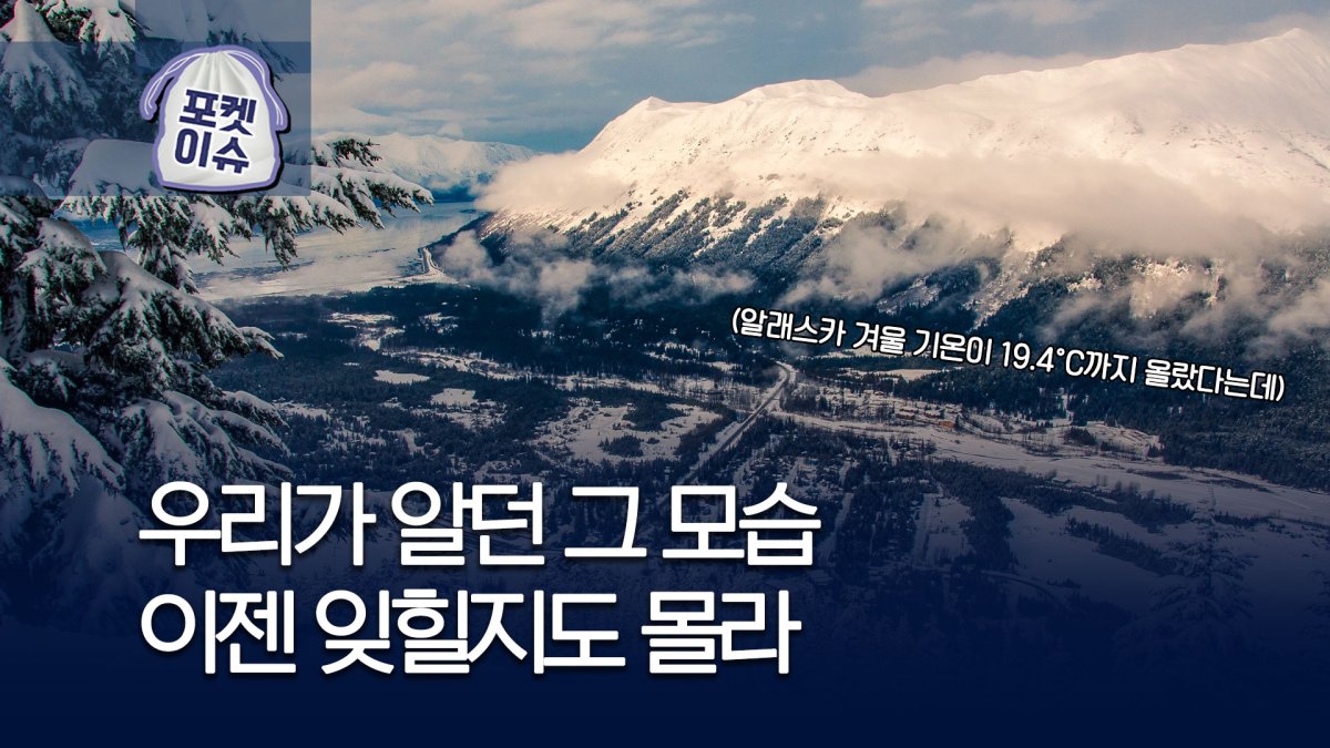 [포켓이슈] 뭐지?…서울보다 따뜻한 알래스카 - 6
