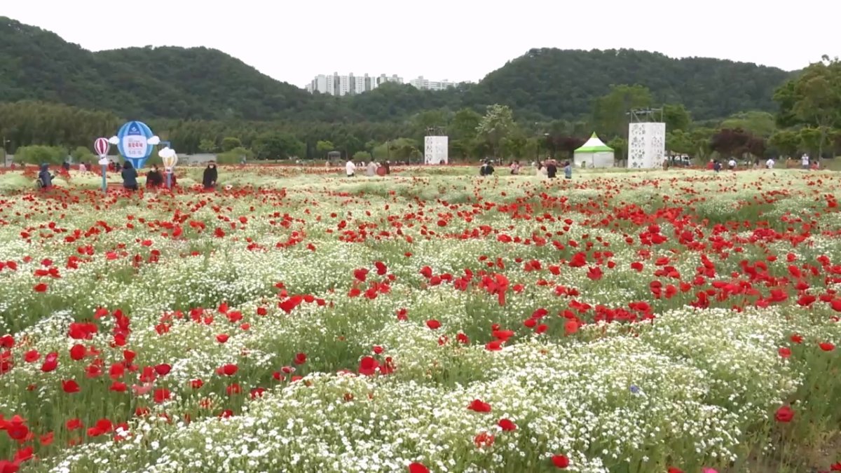 태화강 국가정원 봄꽃축제 19일 개막…정원 체험하러 오세요 | 연합뉴스