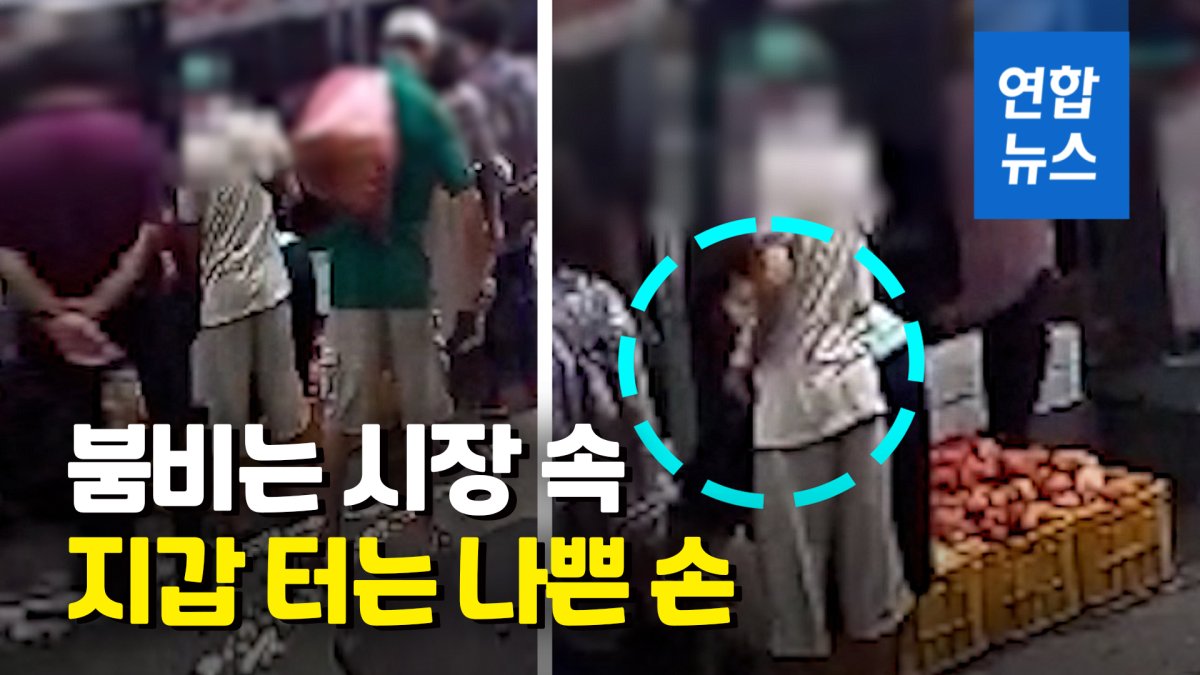 [영상] 아주머니 가방에 손이 쓱…CCTV에 딱 걸린 60대 소매치기범