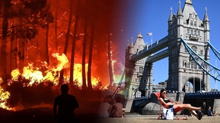 프랑스, 또 대형 산불…영국, 가뭄 공식 선언할 듯