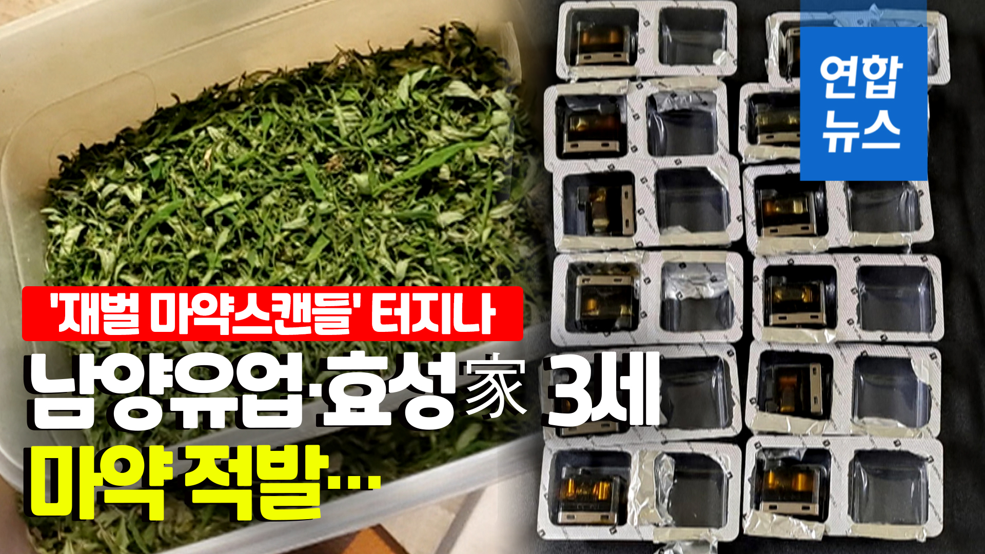 [영상] Namyang Dairy and Hyosung family discover third generation drug… 9 people accused of marijuana