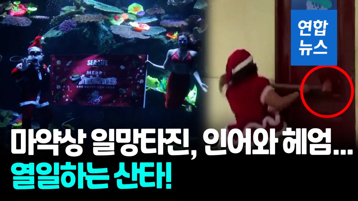 [영상] "우리가 왔다!"…제철 만난 지구촌 산타들