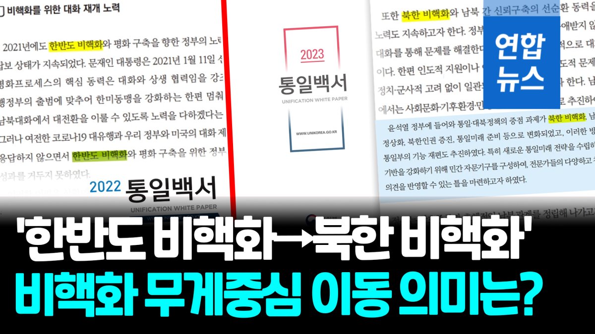 [영상] '한반도 비핵화→북한 비핵화' 공식화…尹정부 첫 통일백서 주목