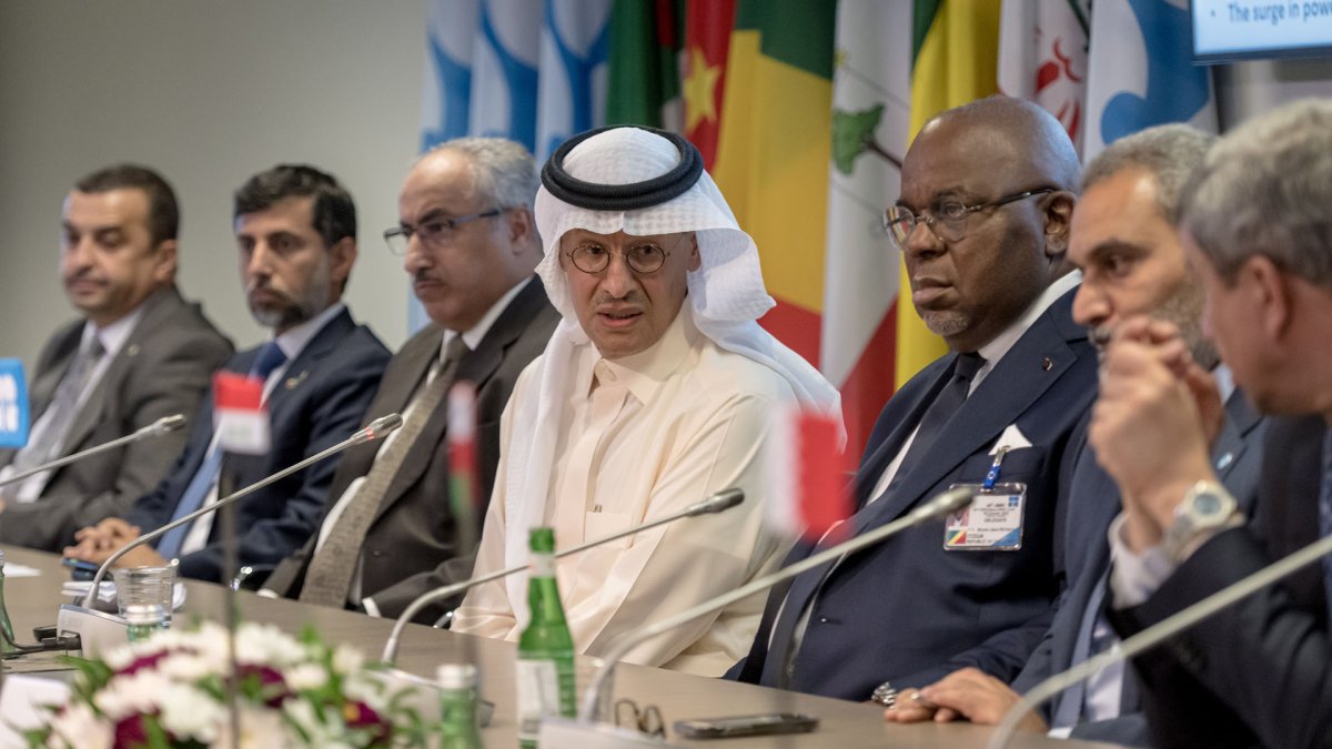 사우디, 100만배럴 추가 감산키로…OPEC+ 주요국은 감산 연장
