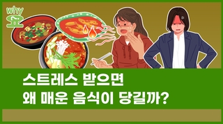 [Why요?] 스트레스 받으면 왜 매운 음식이 당길까?