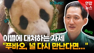  중국 가는 에버랜드 판다 푸바오…사육사 '송바오' 심경은