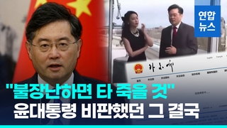  '아나운서와 불륜설' 중국 외교수장 면직…'잠적' 한 달 만