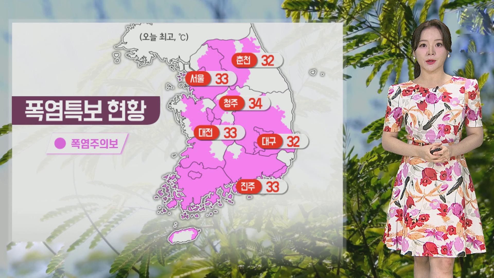 날씨 전국 대부분 33℃ 안팎 찜통더위내륙 곳곳 소나기 연합뉴스