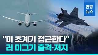  러 "미 해군 초계기 북극 영공 접근…미그31 출격해 저지"