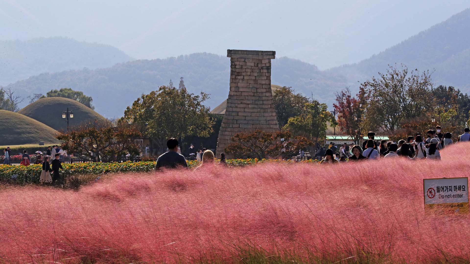 Chuseok Golden Holiday in Gyeongju: Exploring the Festivities and Scenic Beauty