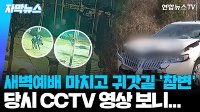 보행자 3명 사망사고 낸 80대 금고 1년 6월…검찰 "형 가벼워"