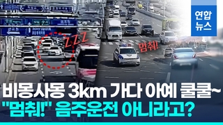 [영상] 도로 한복판 '쿨쿨' 운전자…1km 추격전, 잡고보니 '수면마취'