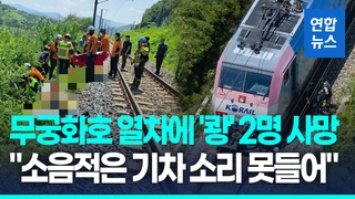 [영상] 열차에 선로 작업자 7명 치여…구조물 점검차 이동중 참변