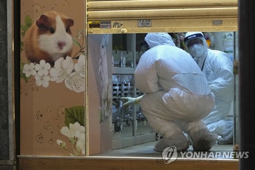 (AP=연합뉴스) 지난 18일 홍콩 당국이 코로나19에 감염된 햄스터를 판매한 코즈웨이의 한 애완동물가게를 조사하고 있다. 2022.1.19.