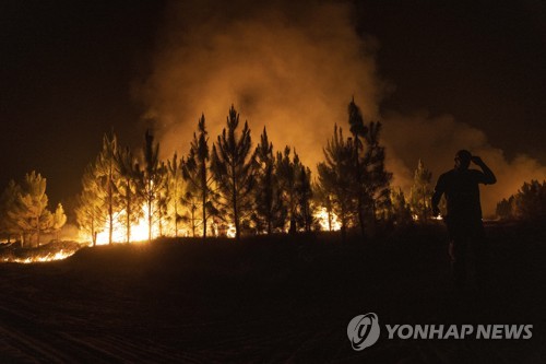 아르헨 북동부 산불로 서울 면적 13배 초토화…습지 생태계 위협