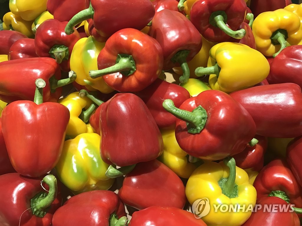 S. Korea paves way to export paprika to Vietnam - 1