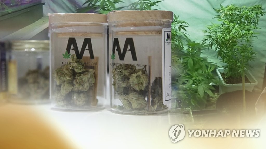 美 뉴욕주·뉴멕시코주 기호용 대마초 합법화 (CG)