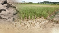 전북 올봄 강수량 평년 57% 그쳐…가뭄 우려에 관계기관 분주