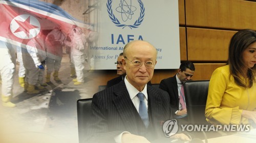 非核化で合意あれば「数週間で北朝鮮に査察団派遣」＝ＩＡＥＡ