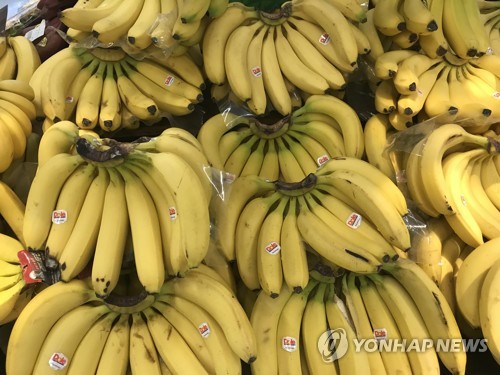 수입과일 가격도 오른다…바나나 도매가 한달새 10%↑
