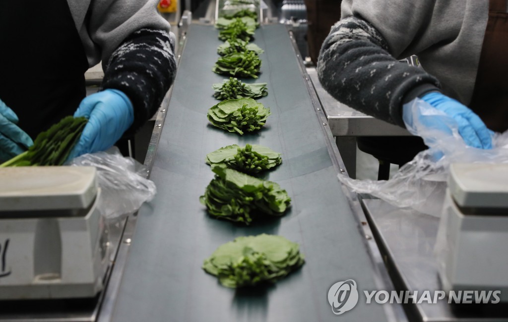 농산물 산지유통센터의 모습