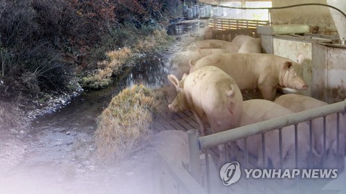 춘천 돼지농장 화재 2시간 만에 진화…2천 마리 소사 (CG)