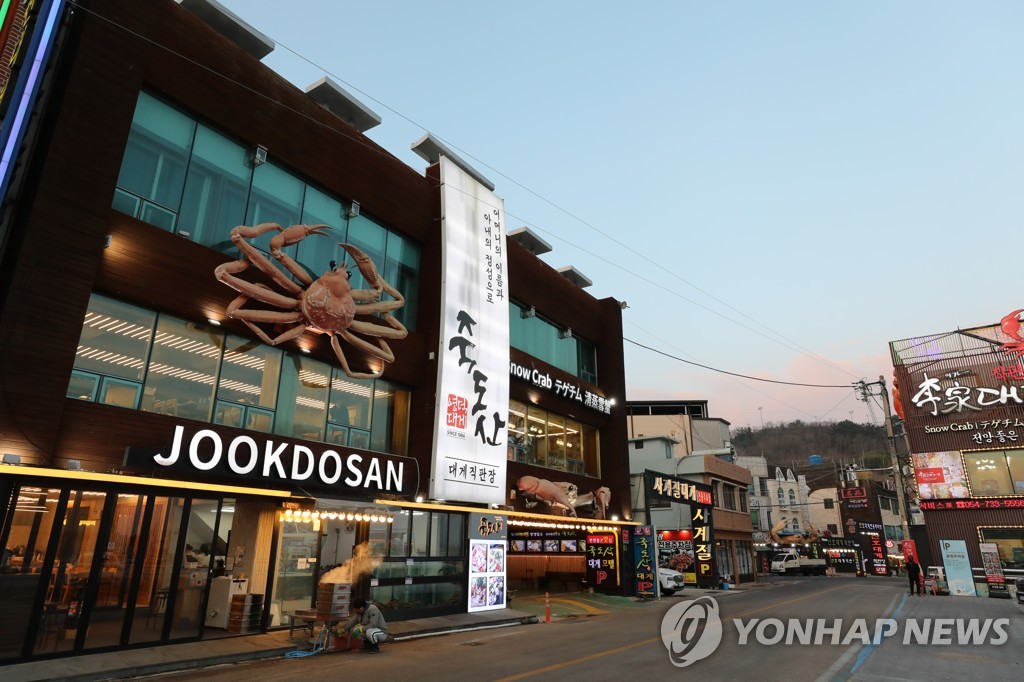 영덕 대게 본고장 영덕 강구항 자료 사진