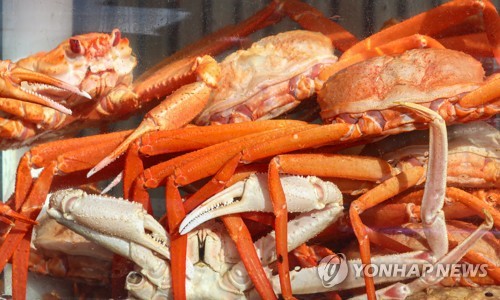 울진 후포항 붉은 대게