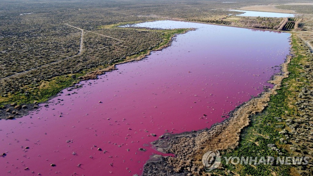 아르헨티나의 분홍색 호수