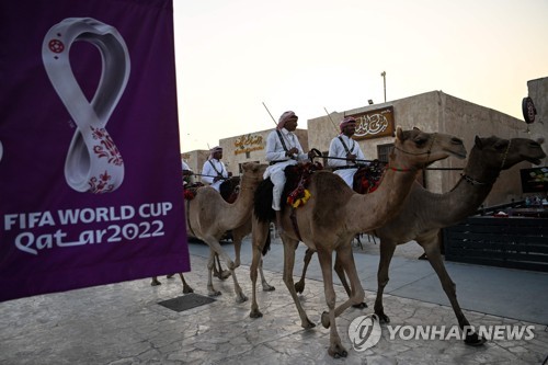 카타르 월드컵과 낙타