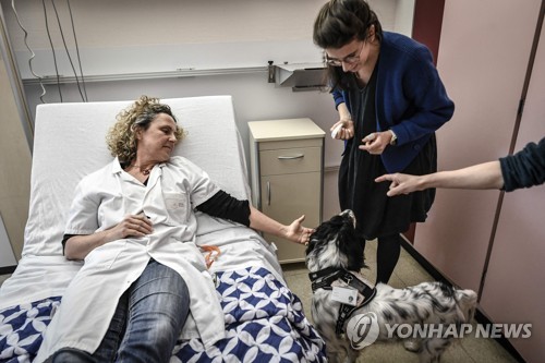 '환자 불안 덜어주는'…강아지 '스누피' 병원 교육 참석