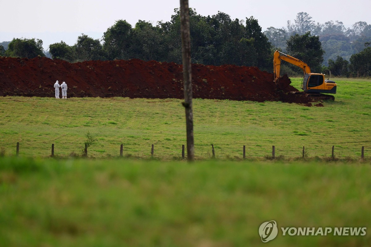 17일(현지시간) 조류 인플루엔자 발생 양계 시설서 작업 중인 브라질 근로자