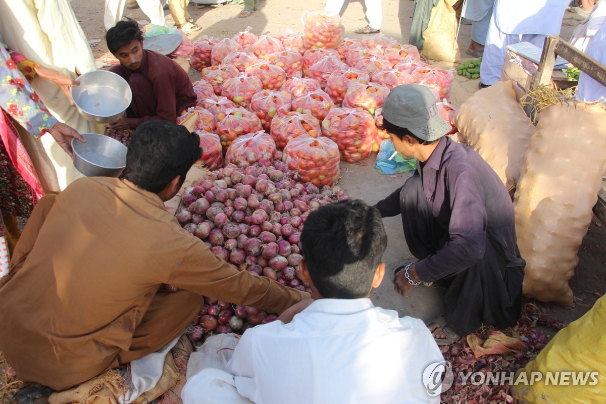 파키스탄 채소 도매시장 노동자들