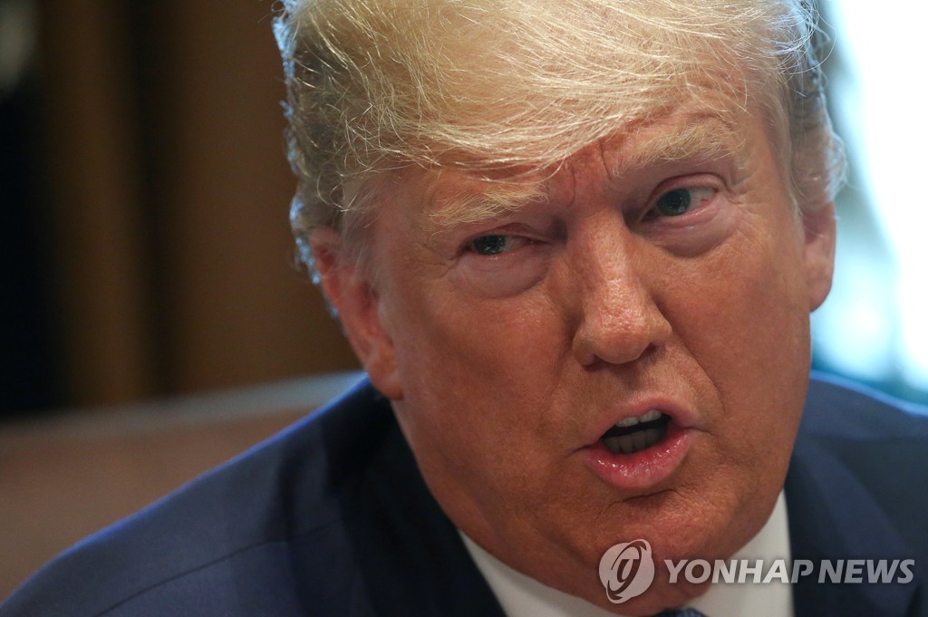각료회의서 발언하는 도널드 트럼프 미국 대통령