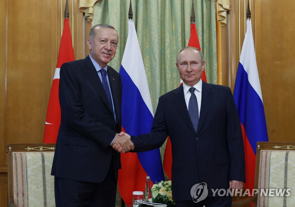 악수하는 터키 대통령과 러시아 대통령