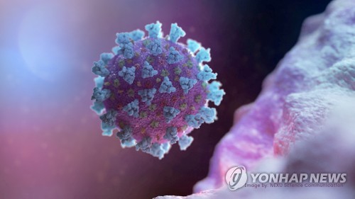 돌연변이 30여개 더 많다…코로나19 무서운 변이 다시 출현(종합)