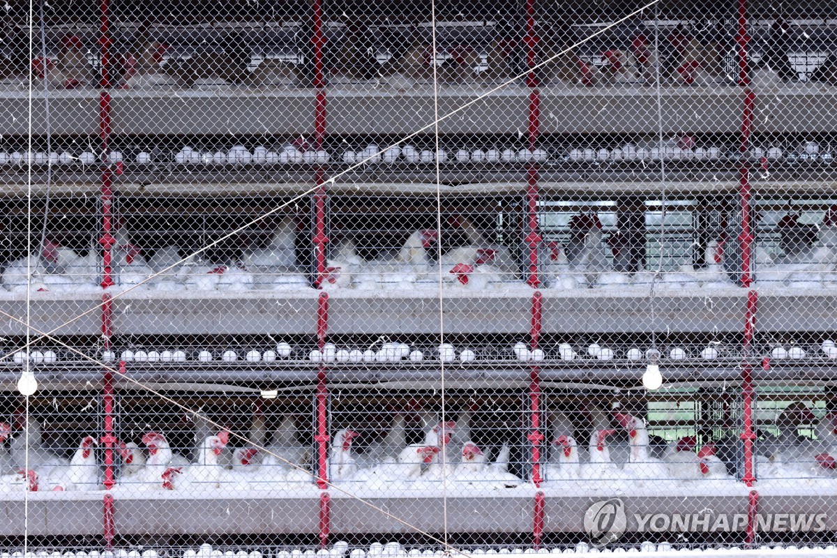 브라질 히우그란지두술 지역 양계시설