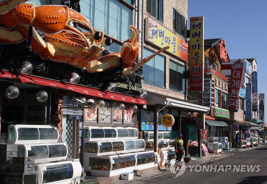영덕 강구항 대게거리