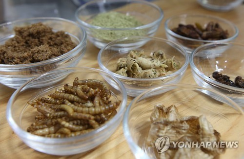  개미는 못 먹는다고?…식용 허용되는 곤충은