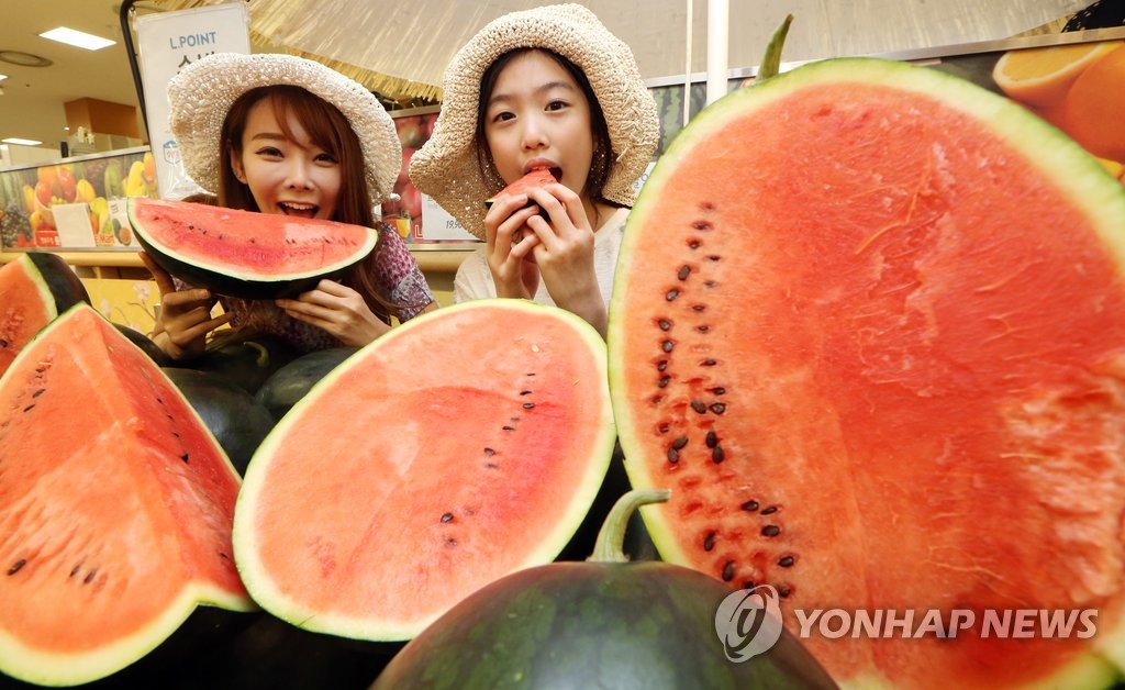 무주군, 설천·안성에 고랭지 흑미수박 특화단지 46ha 조성