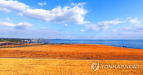 신천목장