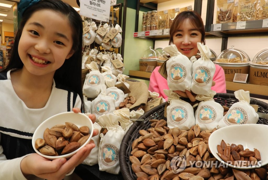 화산지대 견과 필리너트 맛보세요 | 연합뉴스