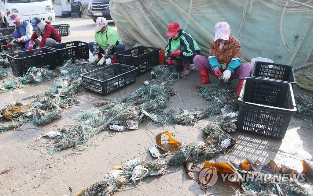 꽃게 손질하는 연평도 어민들  [연합뉴스 자료사진]