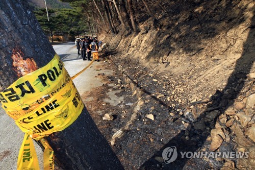 축구장 28개 면적 태운 '양양산불' 원인 못 찾아…수사 종결