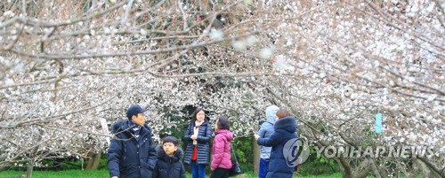 Flower festival